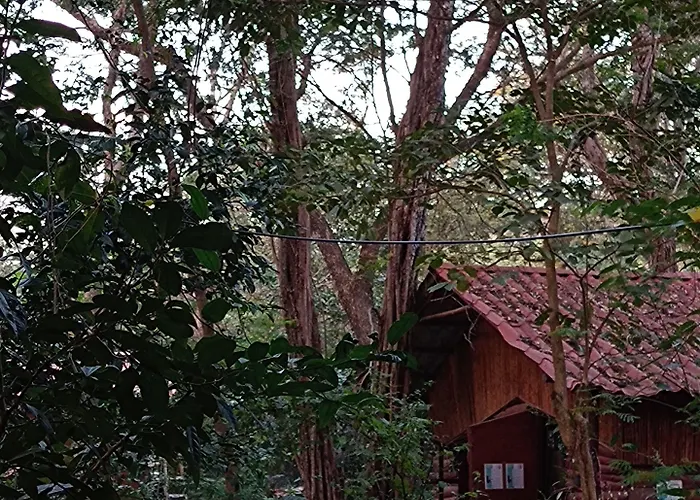 Pachamama Bio Tamarindo
