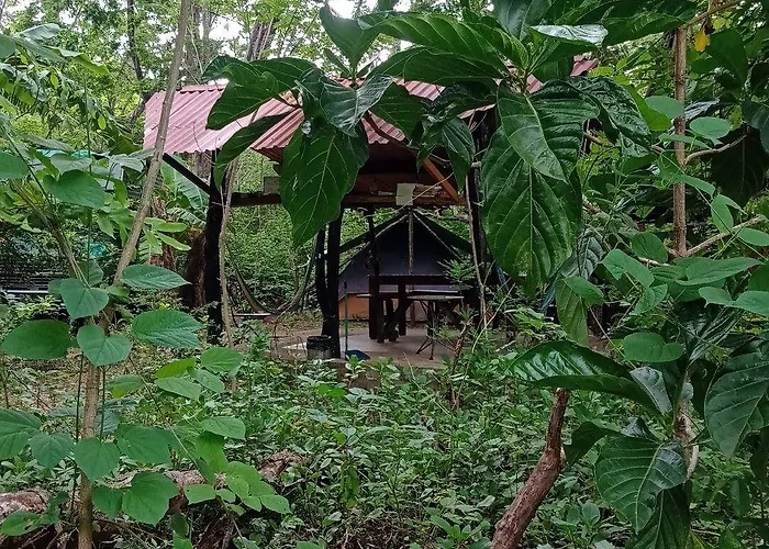 Hostel Pachamama Bio *