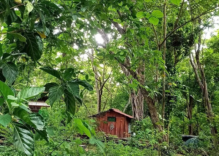 Pachamama Bio Tamarindo